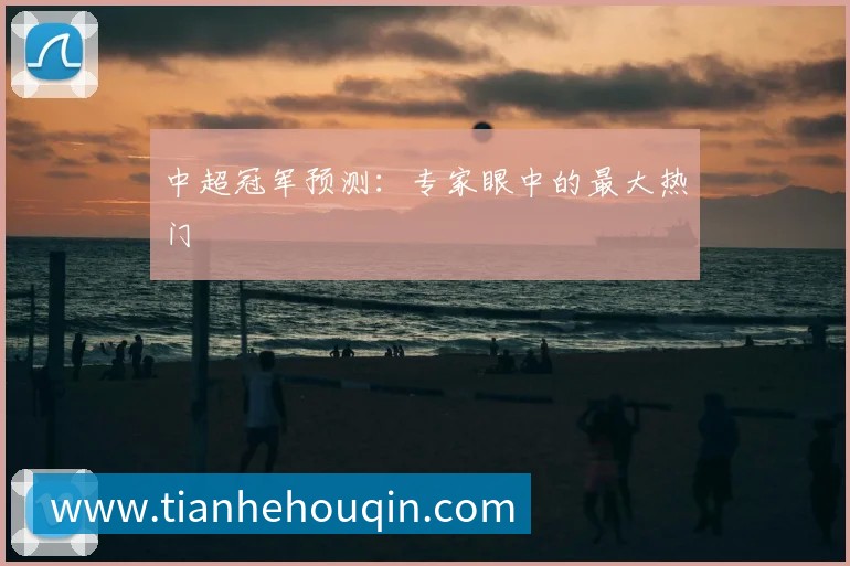 中超冠军预测：专家眼中的最大热门