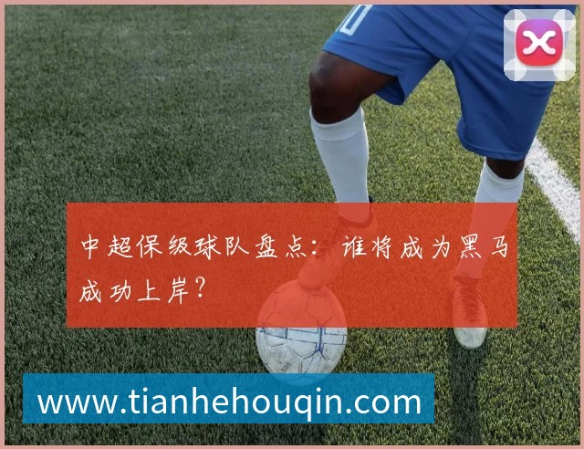 中超保级球队盘点:谁将成为黑马成功上岸?