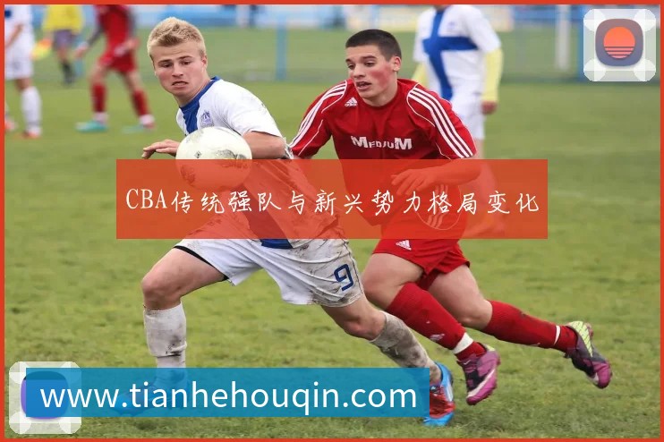 CBA传统强队与新兴势力格局变化