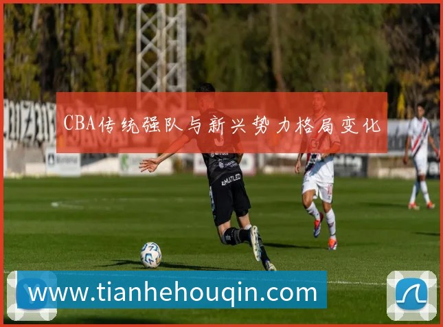 CBA传统强队与新兴势力格局变化