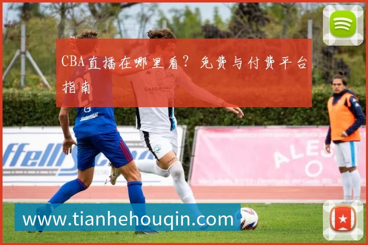 CBA直播在哪里看？免费与付费平台指南