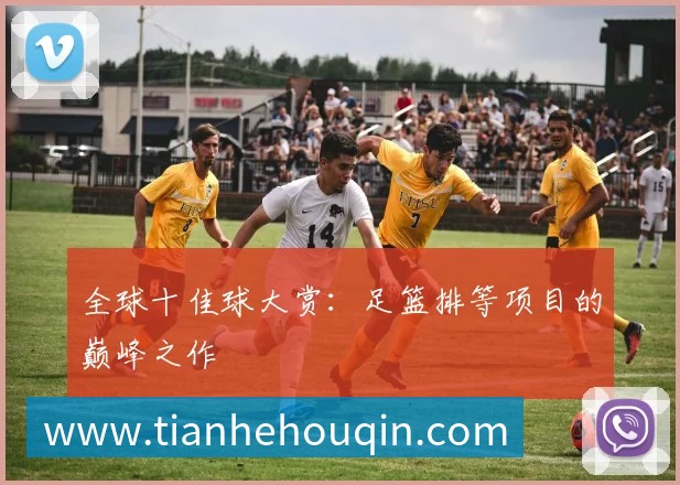 全球十佳球大赏：足篮排等项目的巅峰之作