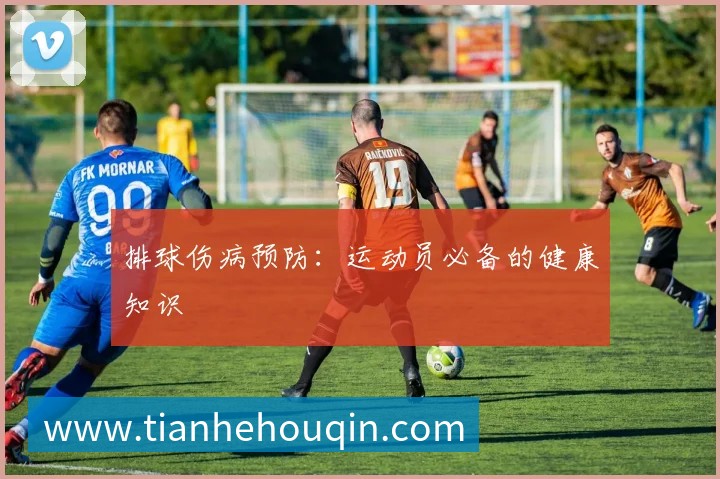 排球伤病预防：运动员必备的健康知识