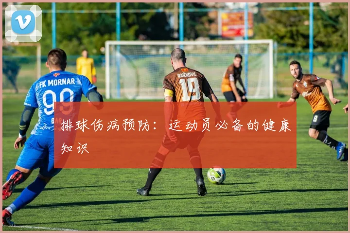 排球伤病预防：运动员必备的健康知识